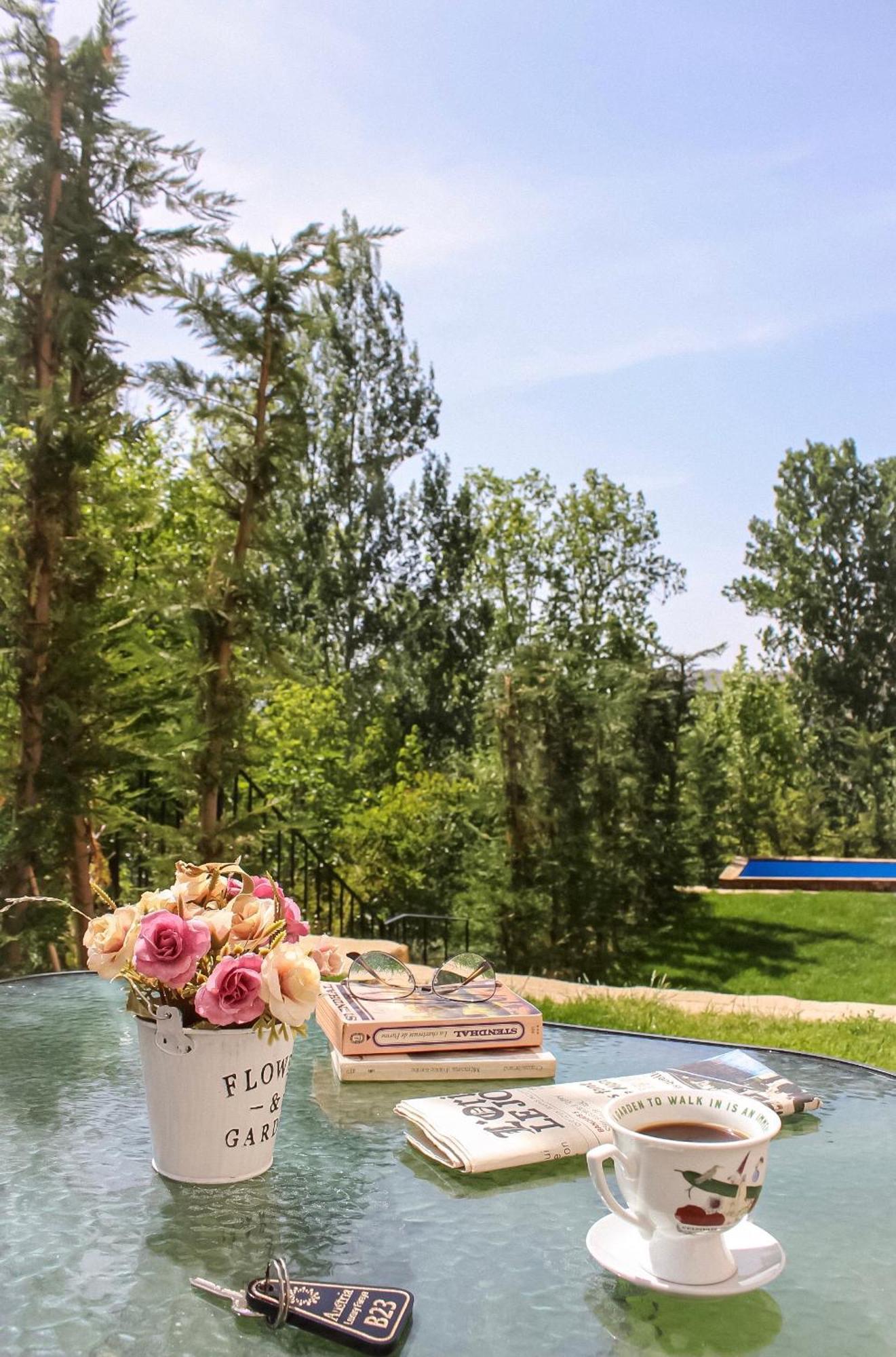 Austria Luxury Apartments, Faraya Hotel Екстер'єр фото